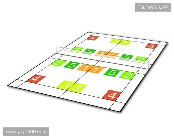 杭州羽毛球队反击打法深度解析与战术应用探讨