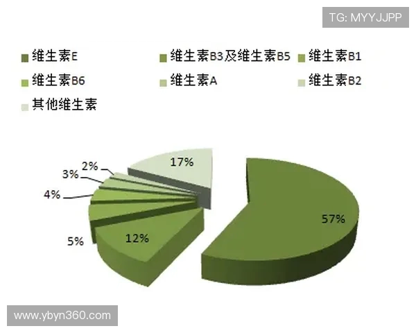 深圳排球队个人能力分析与表现评估研究报告 深圳排球队个人能力分析与表现评估研究报告